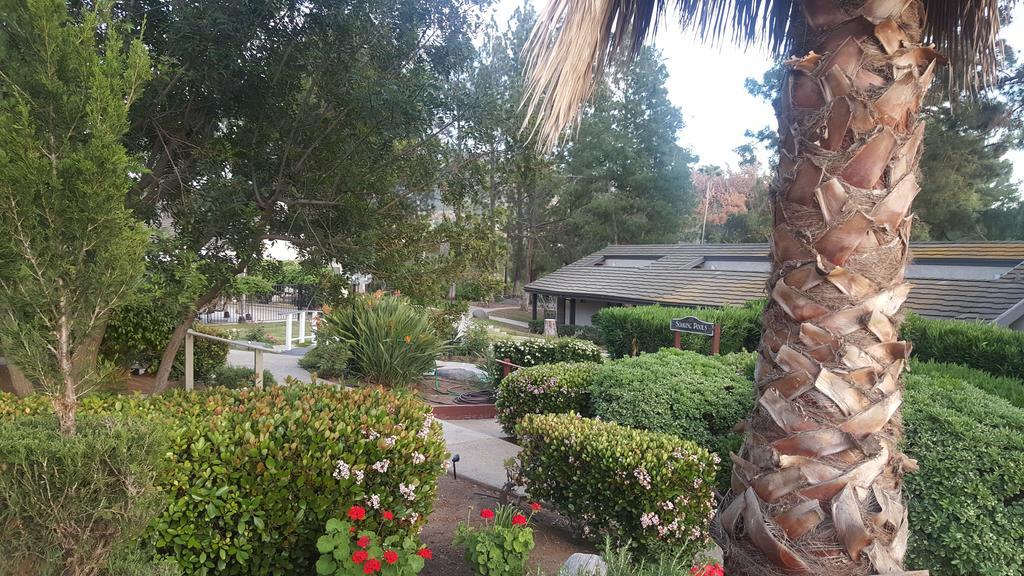 Tuscany Hills Retreat Escondido Luaran gambar